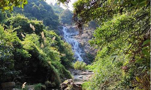 深圳马峦山一日游攻略_马峦山要爬几个小时