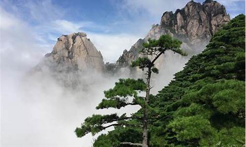 大黄山_大黄山香烟多少一盒