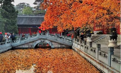 香山公园旅游攻略_香山公园旅游攻略一日游